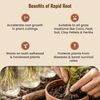 Rapid Root