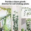 Plant Supporter Clips for Climbers, Creepers & Money Plant