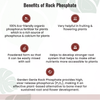 Rock Phosphate
