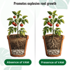 Root Power Granules