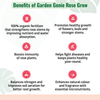 Rose Grow Fertilizer