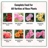 Rose Grow Fertilizer