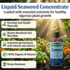 Seaweed Liquid