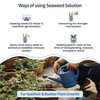 Seaweed Liquid