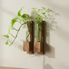 Sheesham Wall Hanging Wooden Planter