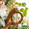 Sheesham Round Wooden Planter