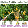Net Fruit Plucker