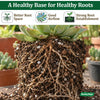 Succulent & Cacti Potting Mix