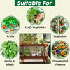 Hydroponic Solid Mixture A & B