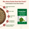 Spinach Seeds