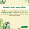 Gypsum Meal Fertilizer