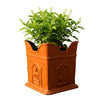 Tulsi Planter | Small Tulsi Pot for Home and Garden