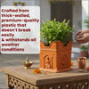 Tulsi Planter | Small Tulsi Pot for Home and Garden