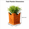 Tulsi Planter | Small Tulsi Pot for Home and Garden