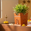 Tulsi Planter | Small Tulsi Pot for Home and Garden