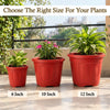 10-inch Plastic Pots for Garden