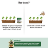 Vegetable Fertilizer