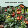 Vegetable Fertilizer