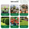 Vermicompost