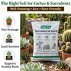 Succulent & Cacti Potting Mix