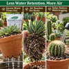 Succulent & Cacti Potting Mix