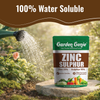 Zinc Sulphate (Zinc 33%, Sulphur 15%) Powder Fertilizer