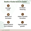 Zinc Sulphate (Zinc 33%, Sulphur 15%) Powder Fertilizer