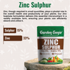 Zinc Sulphate (Zinc 33%, Sulphur 15%) Powder Fertilizer