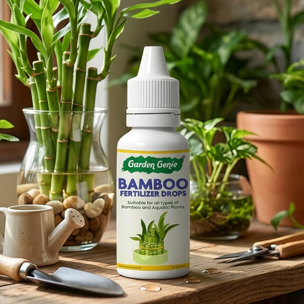 Lucky Bamboo Fertilizer | Aquatic Plant Fertilizer for Water Plants like Bamboo, Money Plant, etc