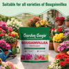 Bougainvillea Fertilizer