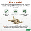 Catnip