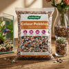 Mix Colour Pebbles
