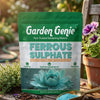 Ferrous Sulphate