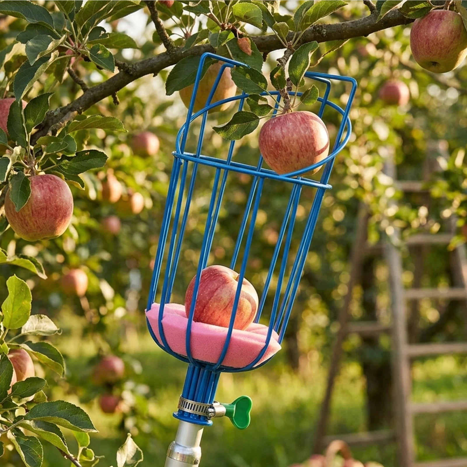 Fruit Plucker / Picker