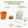 DIY Italian Basil Grow Kit