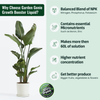 Growth Booster