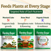 Plant Nutrient Combo (N+P+K)