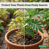 Neem Cake Powder Fertilizer