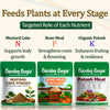 Plant Nutrient Combo (N+P+K)