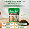 Rice Husk