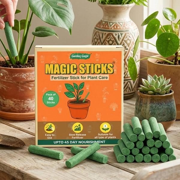 Magic Sticks