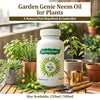 Neem Oil Concentrate