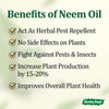 Neem Oil Concentrate