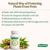 Neem Oil Concentrate