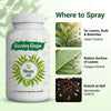 Neem Oil Concentrate