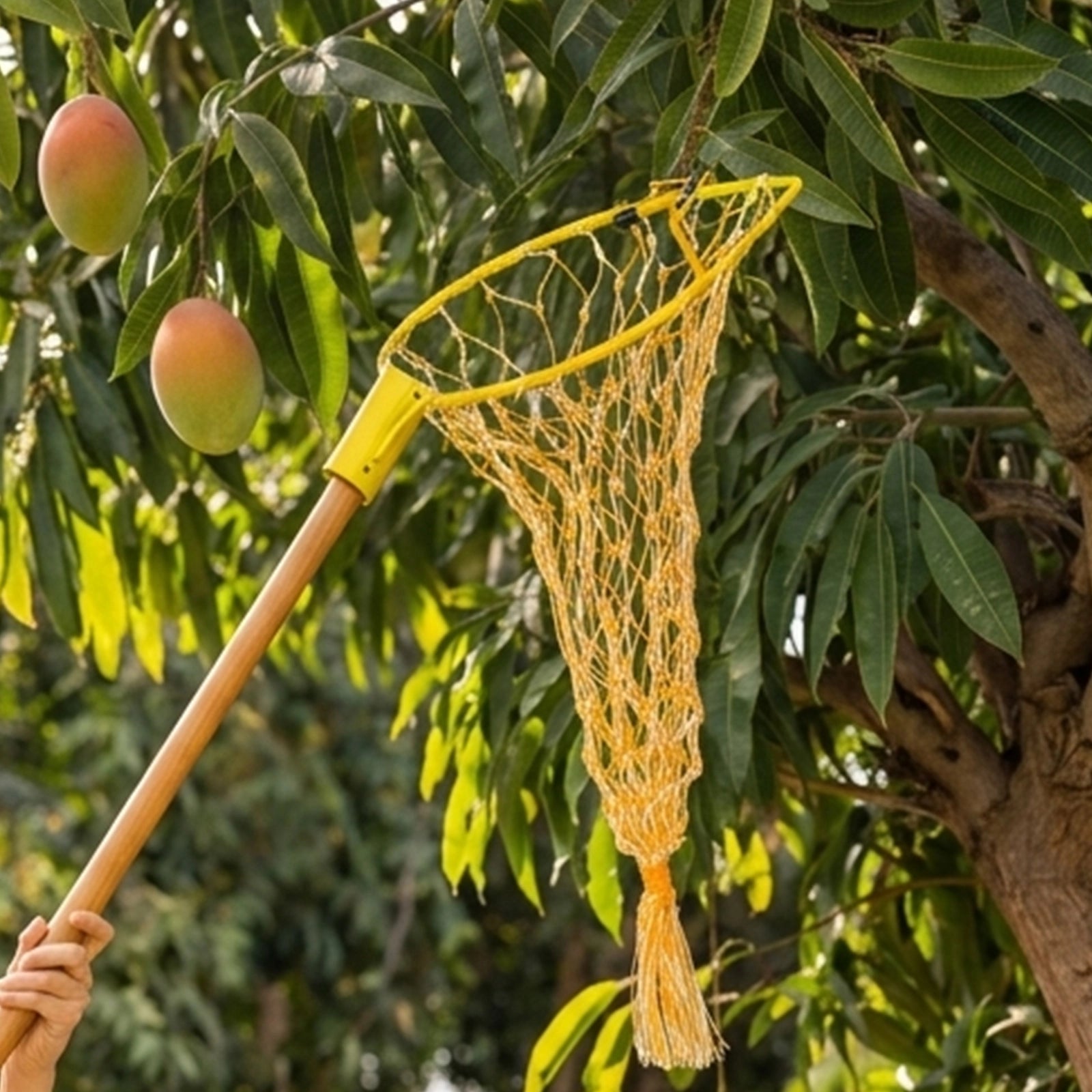 Net Fruit Plucker