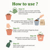 DIY Bottle Gourd Grow Kit