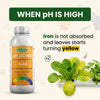 pH Down Nutrient for Hydroponics