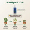 Combo of pH Up & Down