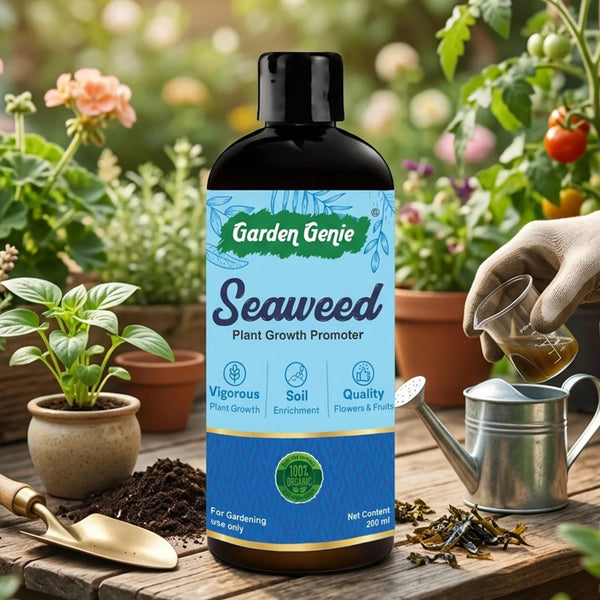 Seaweed Liquid